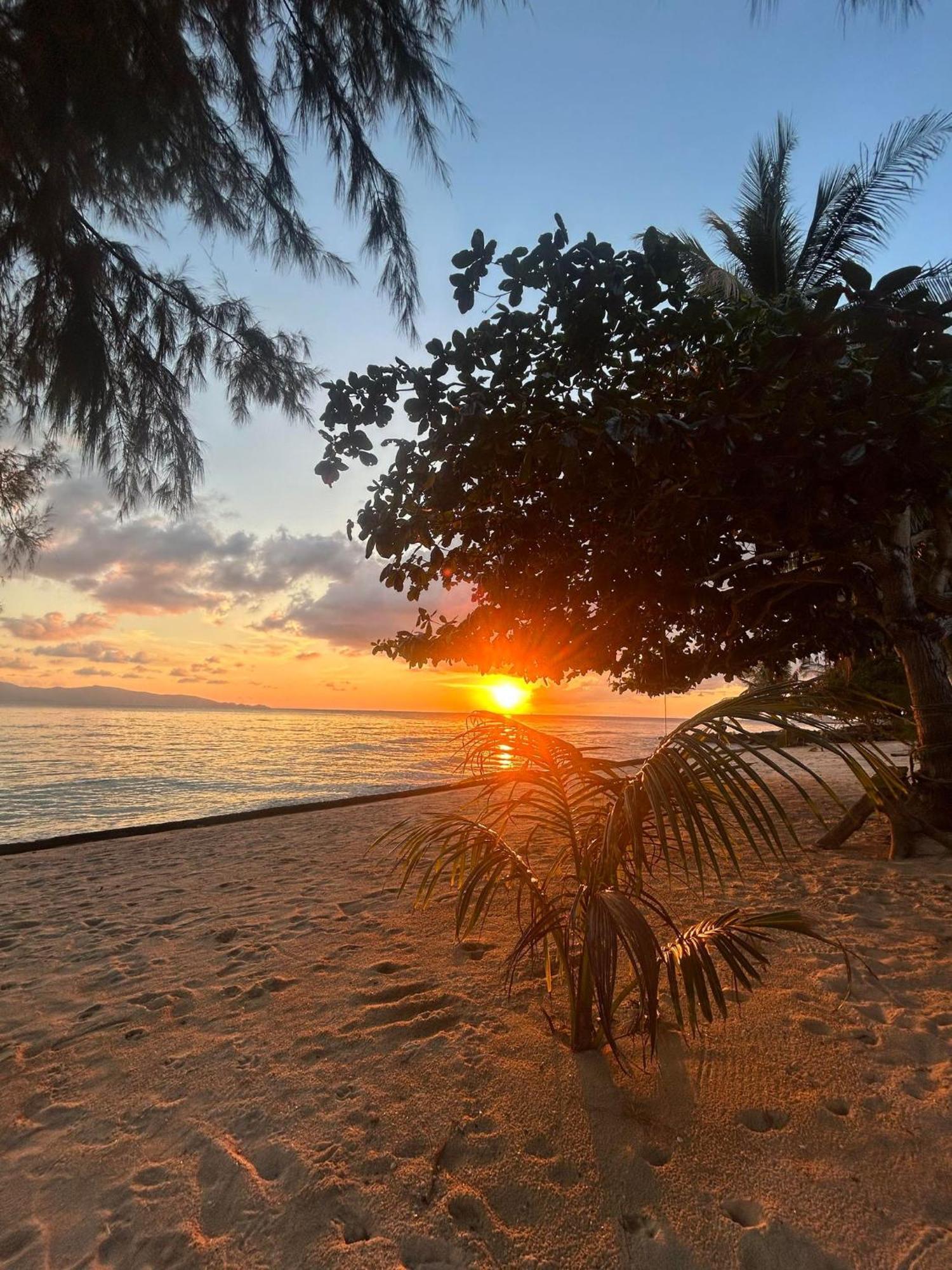 Pinks Bungalow Hotell Baan Tai Exteriör bild